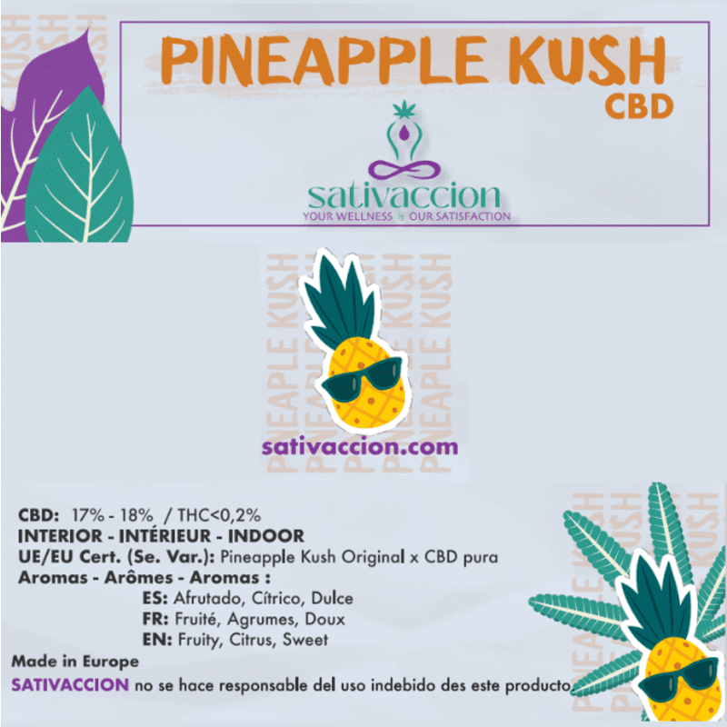 Comprar Pineapple Kush CBD Sativaccion