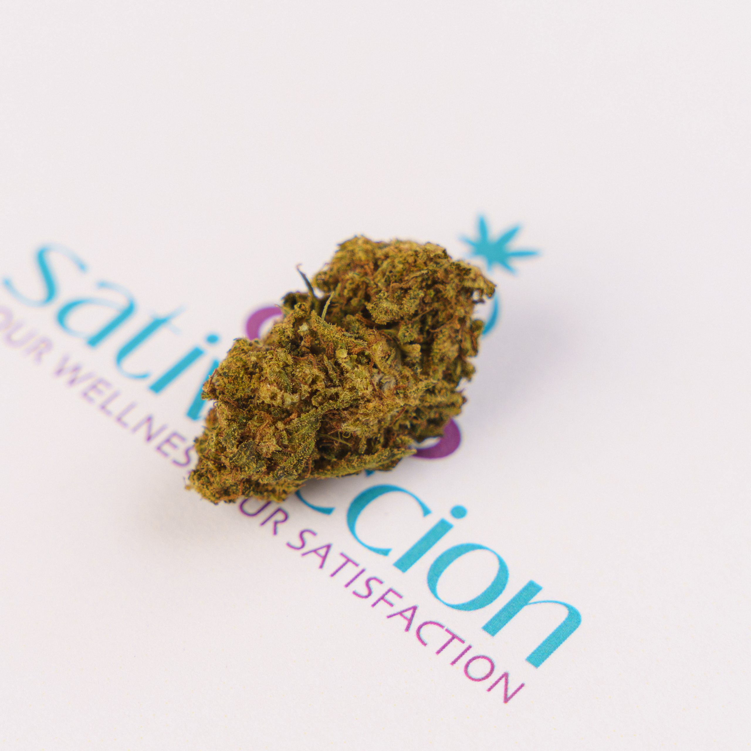 Flores de Cannabis Sativa L. LEMON HAZE CBD - Sativaccion